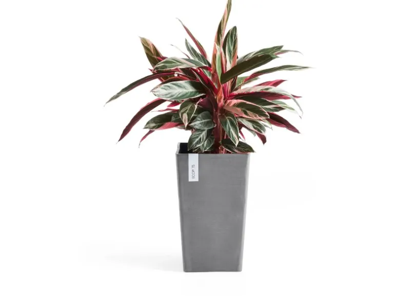 Ecopots Pflanztopf Rotterdam 30 cm x 30 cm x 50 cm Grau