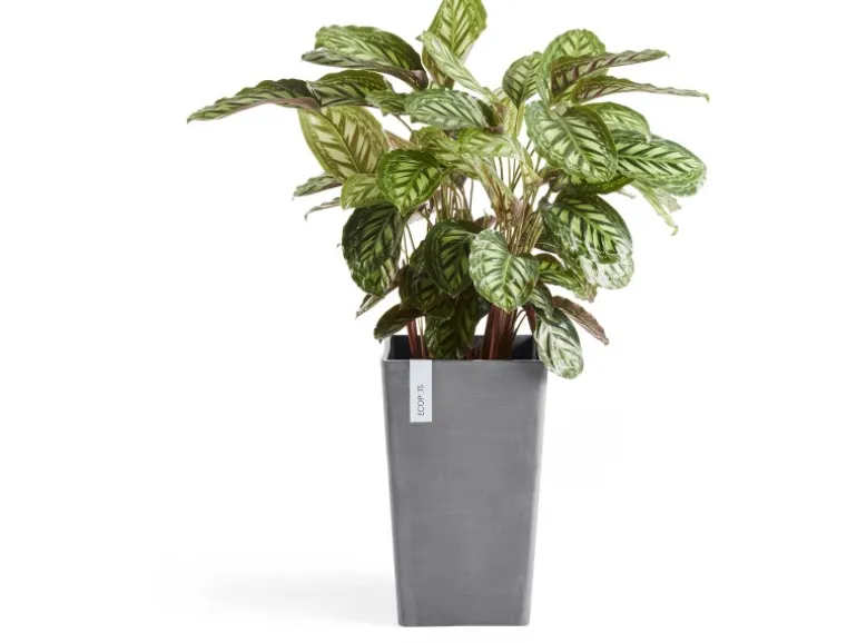 Ecopots Pflanztopf Rotterdam 30 cm x 30 cm x 50 cm Grau