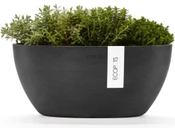 Ecopots Pflanztopf Sofia+WasBeh Dunkelgrau 30 cm