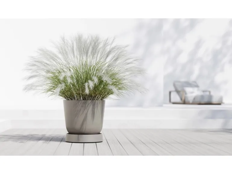 Ecopots Untersetzer Oslo Rollen Braungrau 50 cm x 10,5 cm