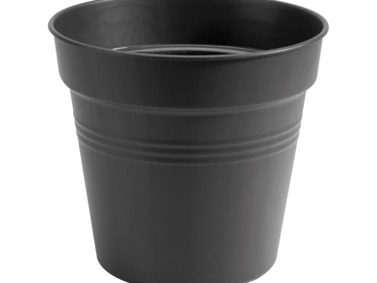 Elho Anzuchttopf Green Basics Ø 27 cm living schwarz