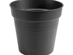 Elho Anzuchttopf Green Basics Ø 30 cm living schwarz