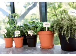 Elho Anzuchttopf Green Basics Ø 30 cm living schwarz