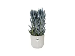 Elho Übertopf Vibes Fold Ø 25 cm x 23 cm Seidenweiß