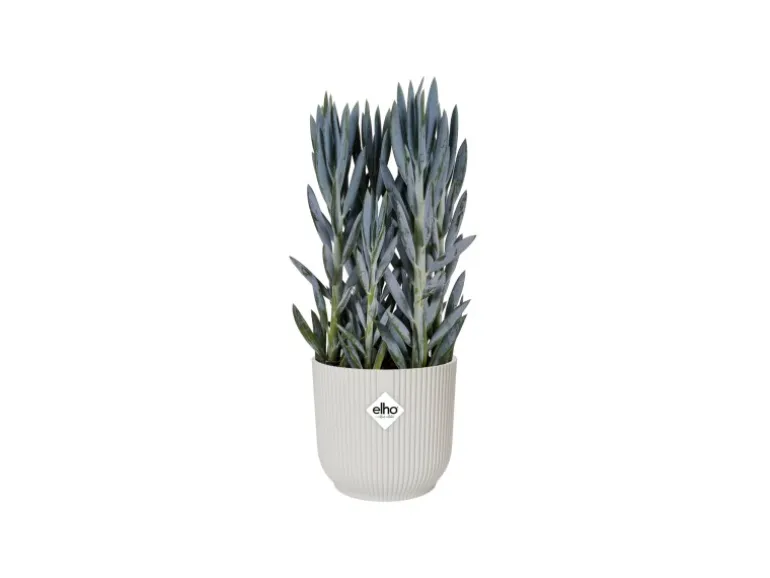 Elho Übertopf Vibes Fold Ø 25 cm x 23 cm Seidenweiß