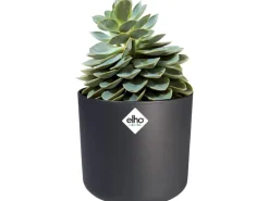 Elho Blumentopf B.For Soft Rund Ø 34,5 cm Anthrazit