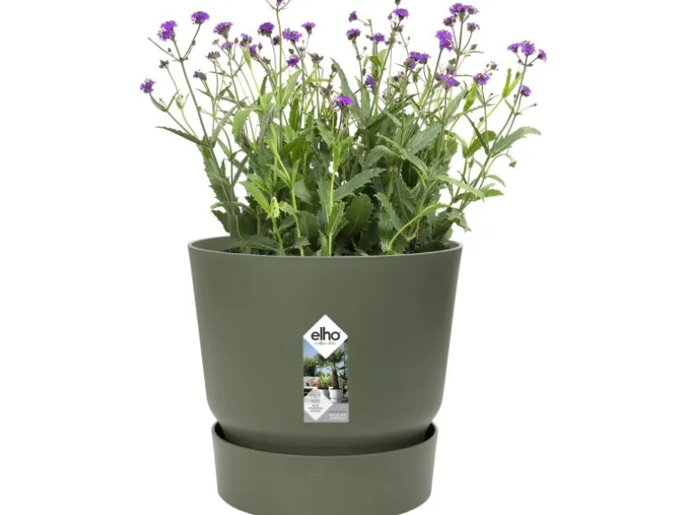 Elho Blumentopf Greenville Rund 14 cm Laubgrün