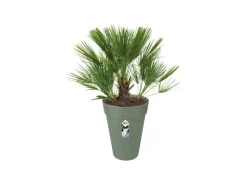 Elho Blumentopf Loft Urban Ø 34 cm x 45 cm Grün