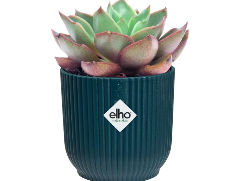 Elho Blumentopf Mini Vibes Ø 7 cm Tiefes Blau