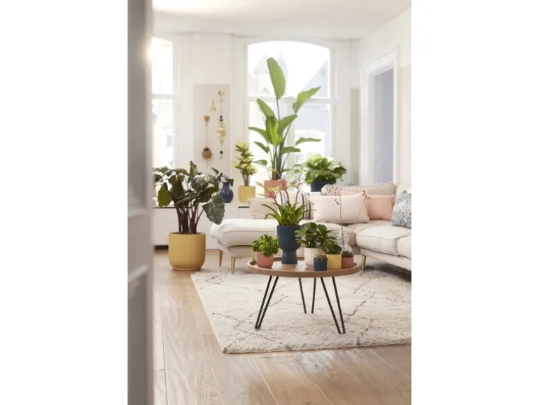 Elho Blumentopf Mini Vibes Ø 9 cm Seidenweiß