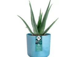 Elho Blumentopf Ocean Collection Ø 16 cm Atlantikblau