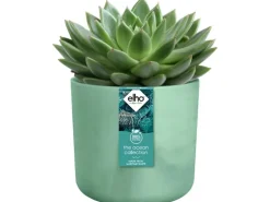 Elho Blumentopf Ocean Collection Ø 18 cm Pazifikgrün