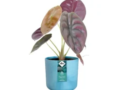 Elho Blumentopf Ocean Collection Ø 14 cm Atlantikblau