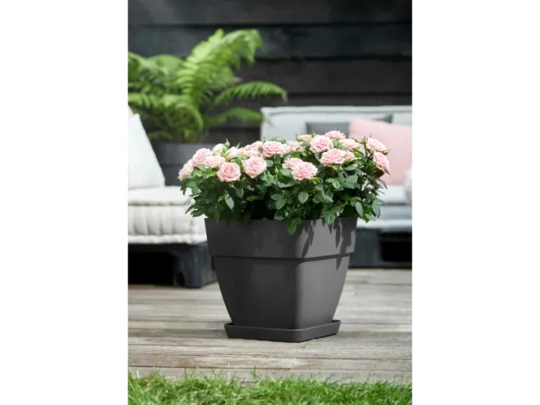 Elho Blumentopf Vibia Campana Viereckig 30 cm x 30 cm x 28 cm Anthrazit