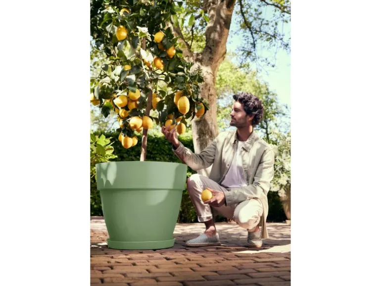 Elho Pflanzentopf Vibia Campana Ø 47 cm x 40 cm Pistaziengrün