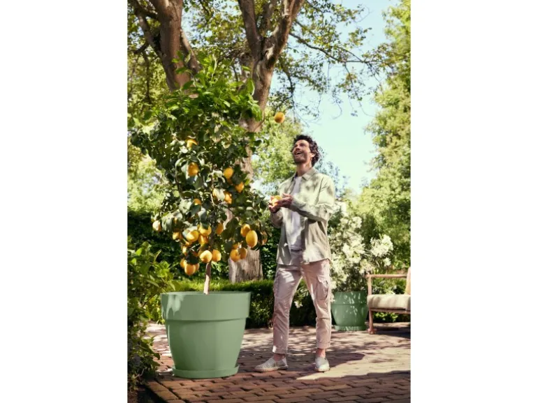 Elho Pflanzentopf Vibia Campana Ø 47 cm x 40 cm Pistaziengrün