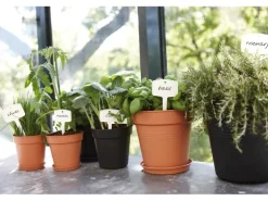Elho Untersetzer Green Basics Ø 10 cm living schwarz
