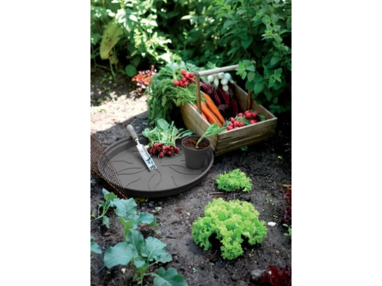 Elho Untersetzer Green Basics Ø 14 cm living schwarz