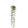 Exotenherz Zimmerpflanze zum Hängen Ceropegia Woodii Leuchterblume 10cm Ampel