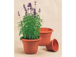 Florus Pflanztopf Fiore Alessia Ø 45 cm terrakotta