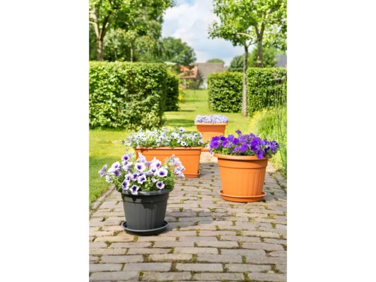 Florus Pflanztopf Sienna Ø 47 terrakotta