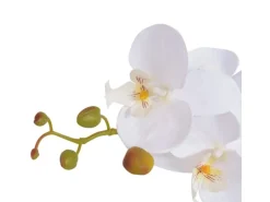 furnicato Künstliche Orchidee mit Topf 75 cm Weiß