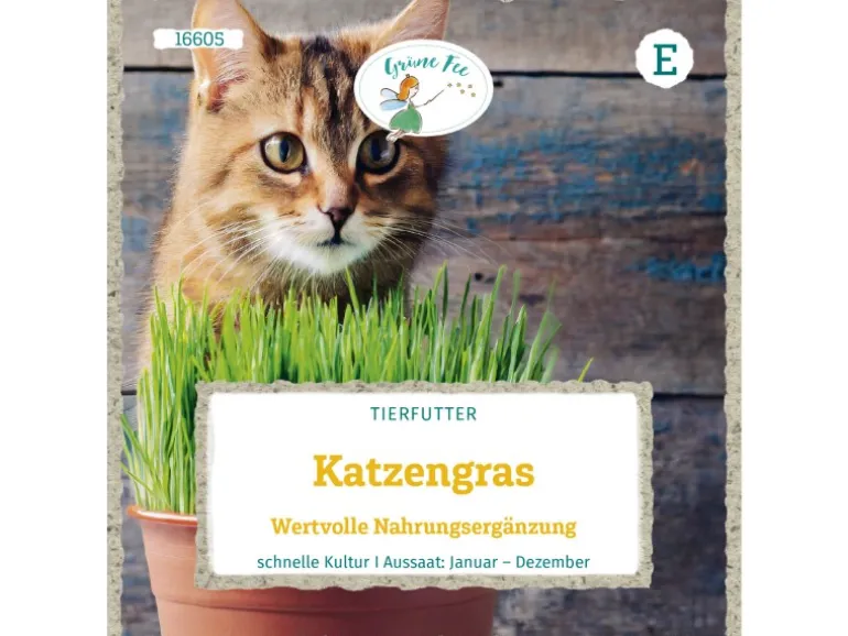 Grüne Fee Katzengras Wertvolle Nahrungsergänzung Saatgut
