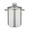 GSW Spargeltopf mit Glasdeckel und Einsatz 16Cm