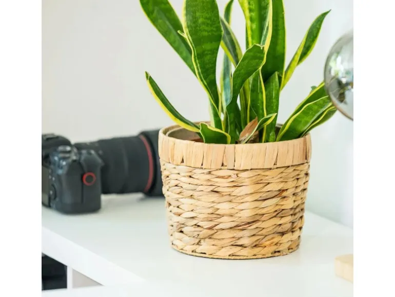 HMF 37280-14CM+19CM+25CM Innovativer Blumentopf Wasserhyazinthe Pflanztopf Rund 3 Größen