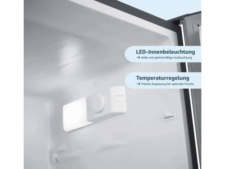 homeX Kühlschrank Mit Gefrierfach Kühl-Gefrierkombination Freistehend 173 Liter Nutzinhalt CFS1110-S Silber