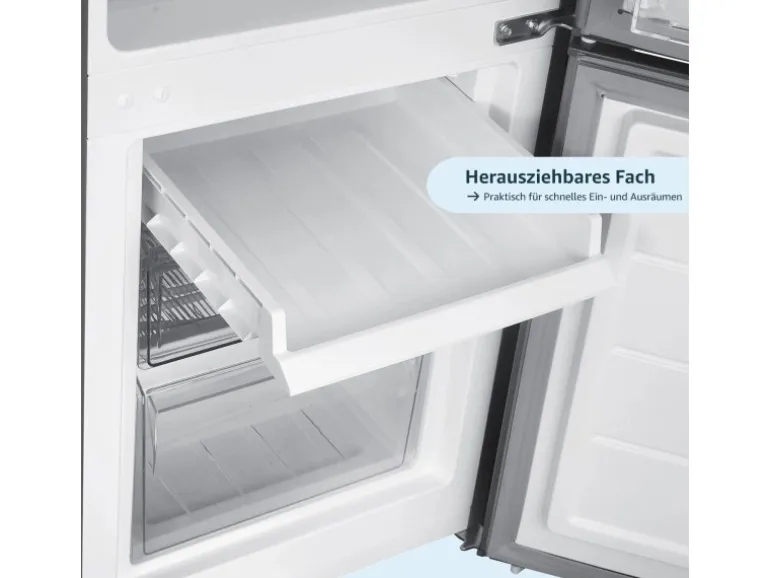 homeX Kühlschrank Mit Gefrierfach Kühl-Gefrierkombination Freistehend 173 Liter Nutzinhalt CFS1110-S Silber