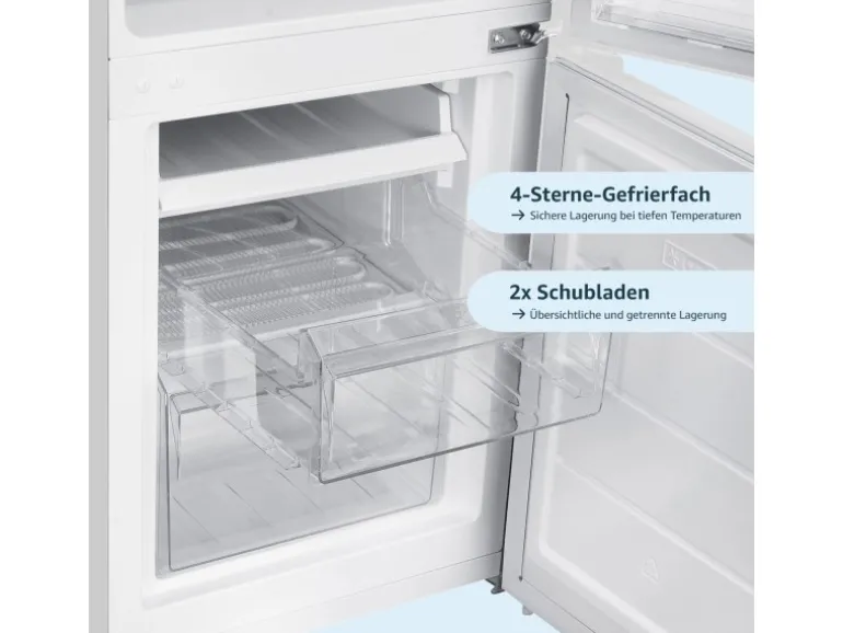 homeX Kühlschrank Mit Gefrierfach Kühl-Gefrierkombination Freistehend 173 Liter Nutzinhalt CFS1110-W Weiß