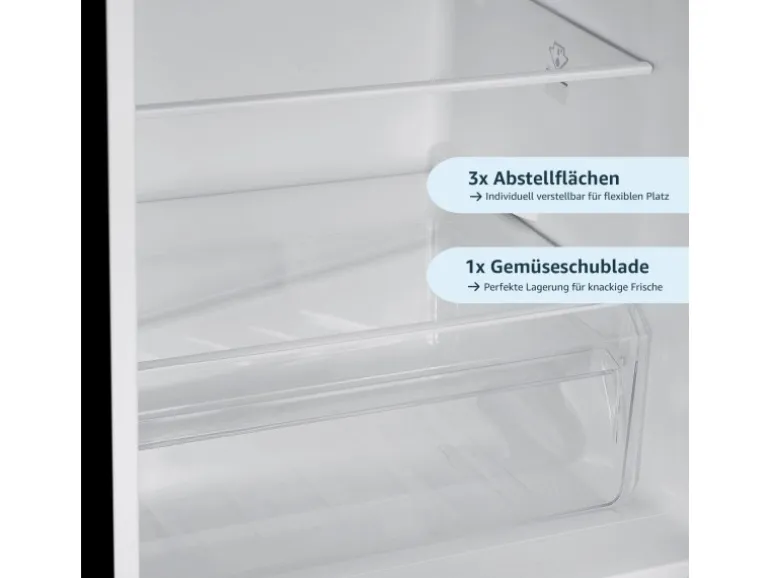 homeX Kühlschrank Mit Gefrierfach Kühl-Gefrierkombination Freistehend 173 Liter Nutzinhalt CFS1110-B Schwarz
