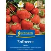 Kiepenkerl Erdbeeren Fresca