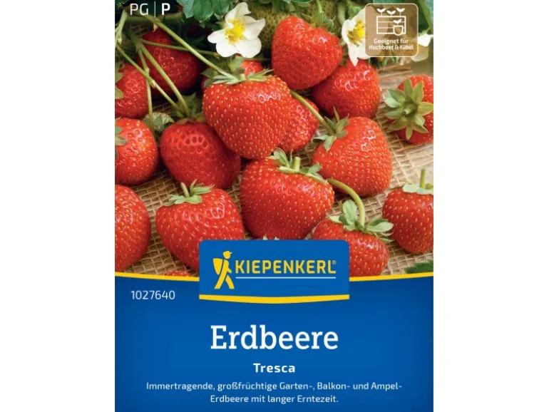 Kiepenkerl Erdbeeren Fresca