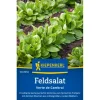 Kiepenkerl Feldsalat "Verte de Cambrai"