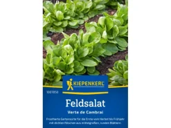 Kiepenkerl Feldsalat "Verte de Cambrai"