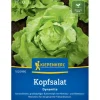 Kiepenkerl Profi-Line Kopfsalat "Dynamite"