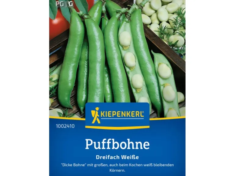 Kiepenkerl Puffbohne "Dreifach weiße"