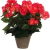 Kunstblume Begonia Dunkelrosa Topf-Ø 11,5 cm H 30 cm, Ø: 25 cm