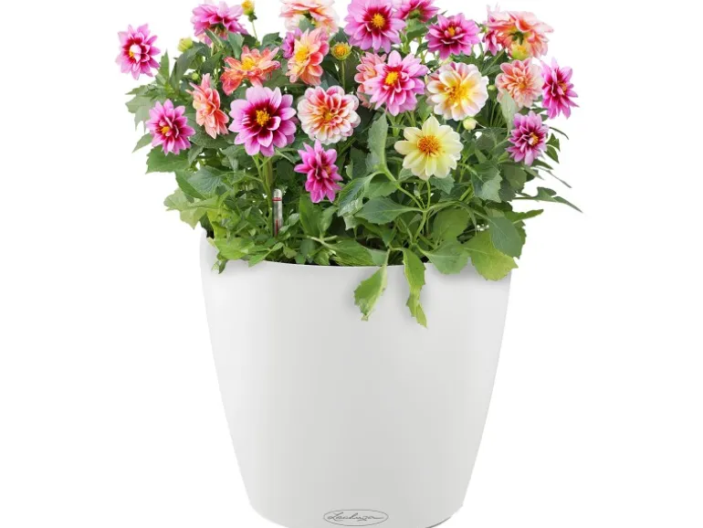 Lechuza® Pflanzgefäß Classico Color 21 Weiß Ø 21 cm