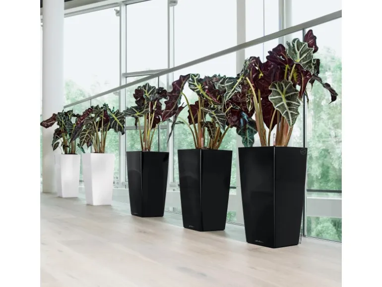 Lechuza® Pflanzgefäß Cubico Premium 50 cm x 50 cm Schwarz hochglanz