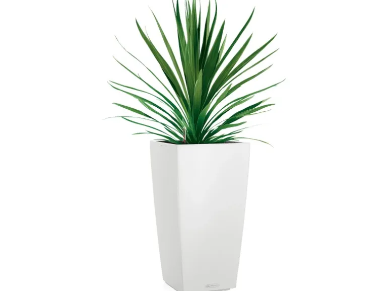 Lechuza® Pflanzgefäß Cubico Color 22 Weiß 22 cm x 22 cm