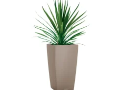 Lechuza® Pflanzgefäß Cubico Color 30 cm x 30 cm x 56 cm Sandbraun