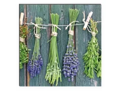 MySpotti Küchenrückwand Profix Cucina Kräuter Provence 100 x 60 cm Grün