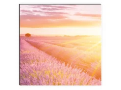 MySpotti Küchenrückwand Profix Cucina Provence 210 x 60 cm Lila Mix