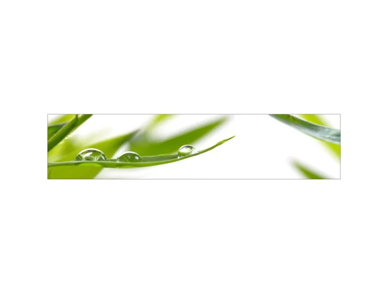 MySpotti Küchenrückwand Profix Cucina Dew Drop 270 x 60 cm Grasgrün