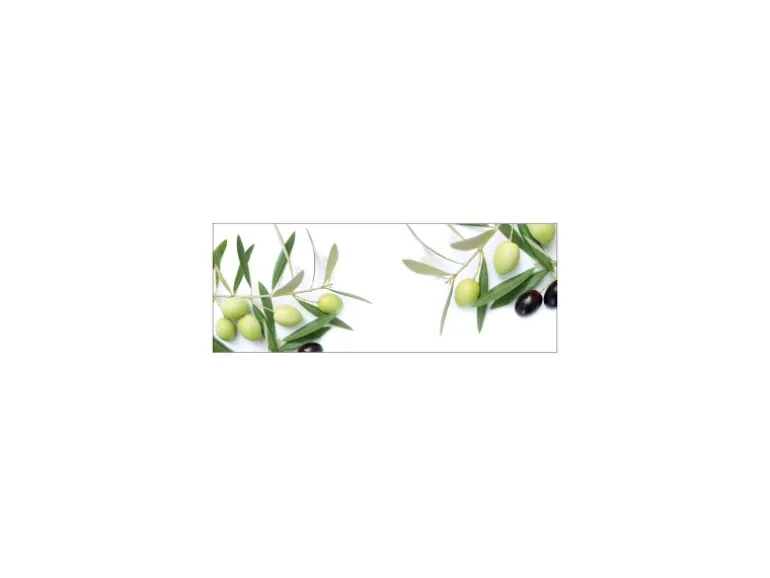 MySpotti Küchenrückwand Profix Cucina Olivenzweig 160 x 60 cm Olivgrün