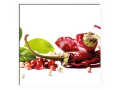 MySpotti Küchenrückwand Profix Cucina Herbs und Spice 210 x 60 cm Rot-Grün