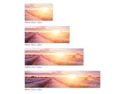 MySpotti Küchenrückwand Profix Cucina Provence 160 x 60 cm Lavendelviolett